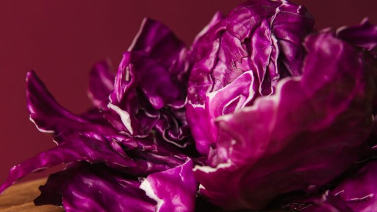 Cavolo rosso bellezza, salute e creatività in cucina