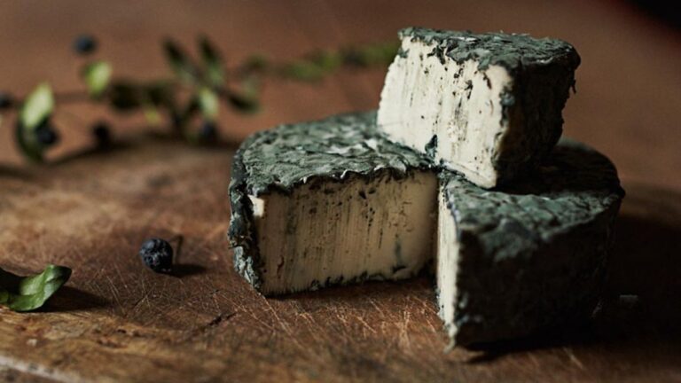 Formaggi Vegani la rivoluzione green che conquista il palato
