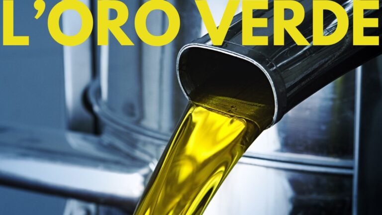 L’Oro Verde: tradizione, innovazione e frantoi di qualità nel Lazio
