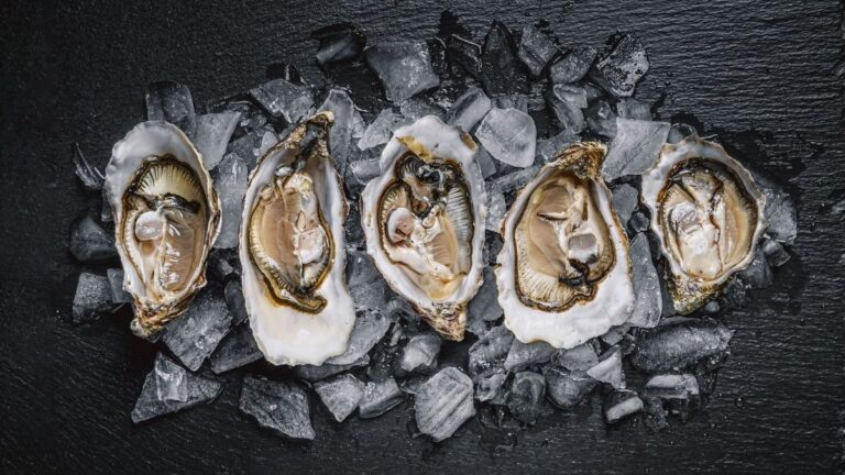 Ostriche l'eleganza del mare e la loro sorprendente versatilità in cucina