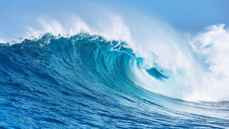 Ripuliamo l'oceano, un rifiuto alla volta il sensibile impegno di Duferco Energia