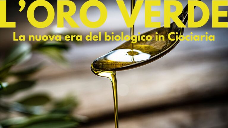 Frantoio Cerquozzi la nuova era del biologico in Ciociaria