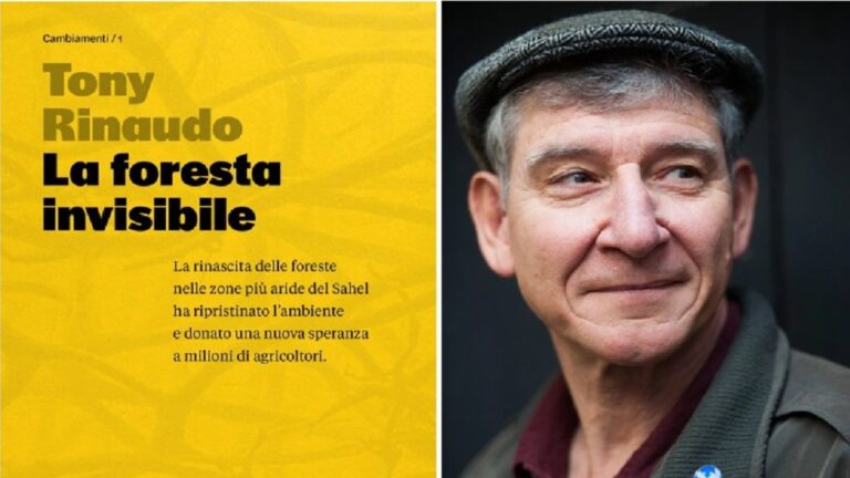 La foresta invisibile