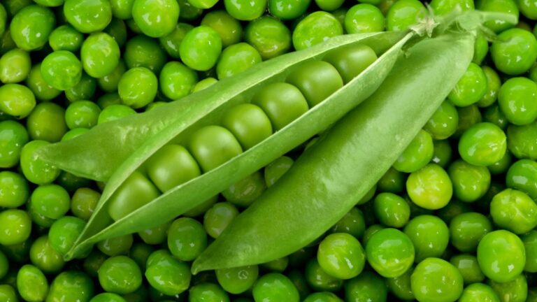 Zuppa primaverile di legumi e ortaggi di maggio
