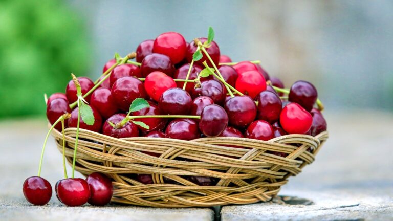 Giugno - Il sapore dell’estate che inizia